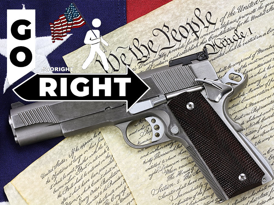 To Hell with the Constitution, THEY ARE COMING FOR YOUR GUNS - Go Right
