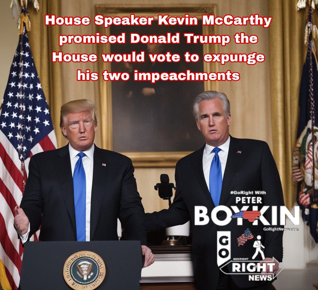 House Speaker Kevin McCarthy promised Donald Trump the House would vote to expunge his two impeachments
